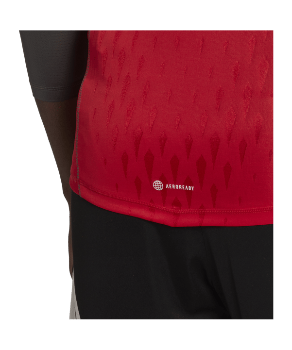 adidas Tiro 23 Pro Torwarttrikot langarm Rot - rot