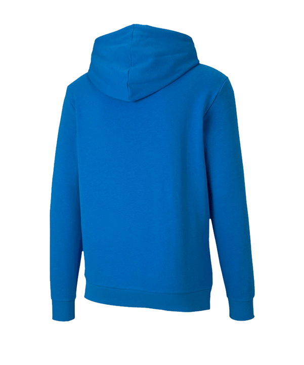 PUMA teamGOAL 23 Casuals Hoody Blau F02 - blau