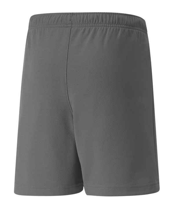 PUMA teamRISE Short Kids Grau Weiss F13 - grau