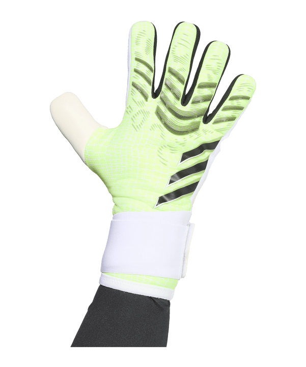 adidas Predator Competition Torwarthandschuhe Radiant Blaze Grün - gruen