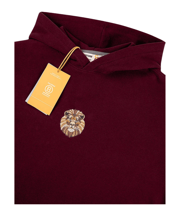 GSSTORE X Reflect Studio Lion Hoody Rot - rot