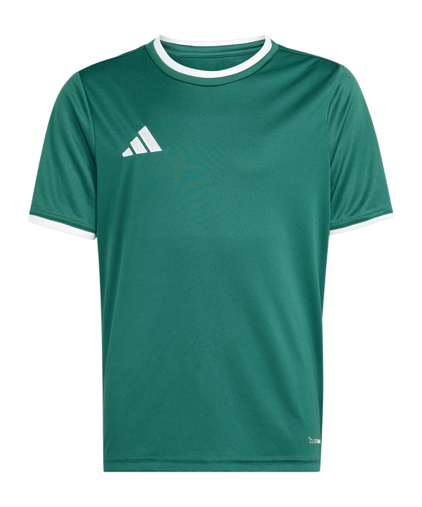 adidas Entrada 26 Trikot Kids Grün - gruen