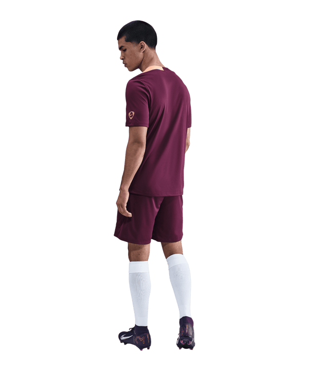 Nike Strike Short Rot F610 - rot