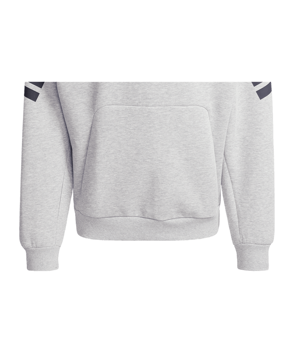 adidas Fortuna Düsseldorf Hoody Grau - grau