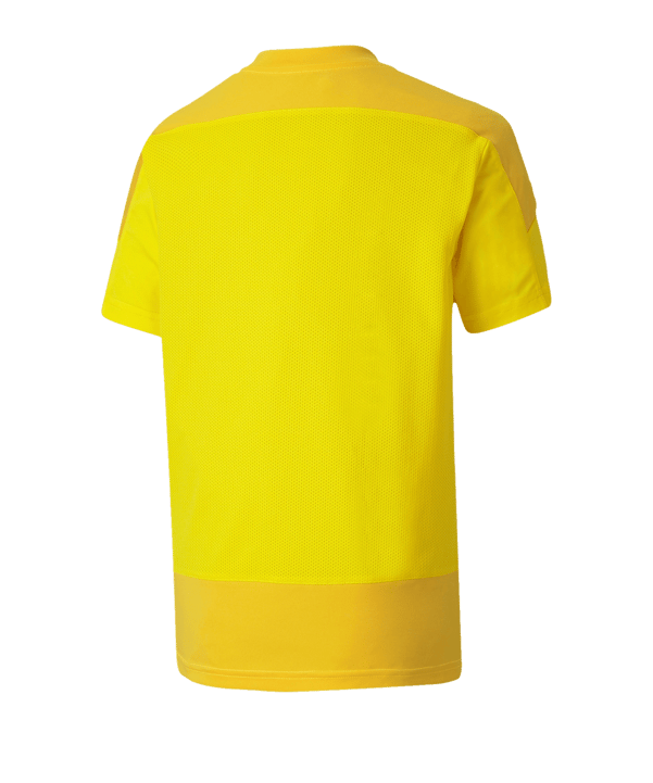 PUMA teamGOAL 23 Training Trikot Kids Gelb F07 - gelb