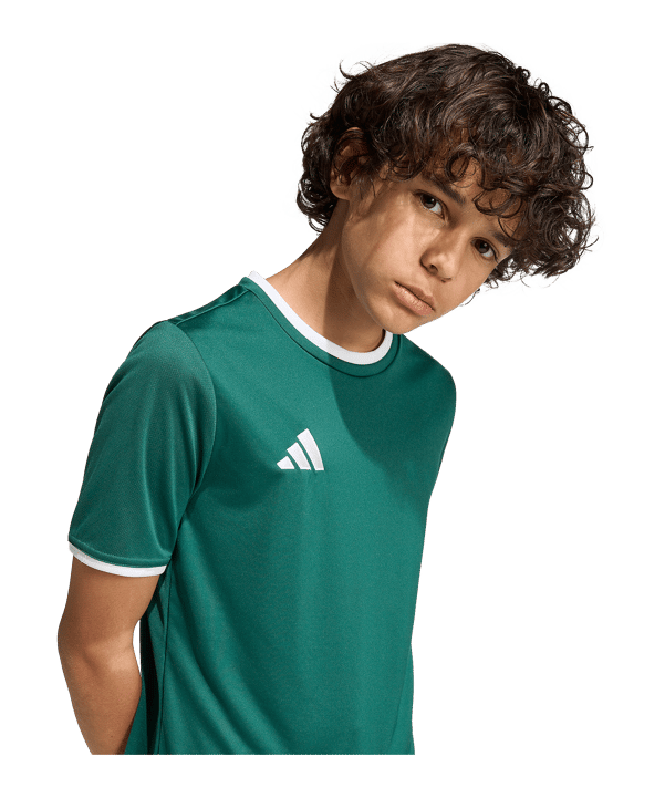 adidas Entrada 26 Trikot Kids Grün - gruen