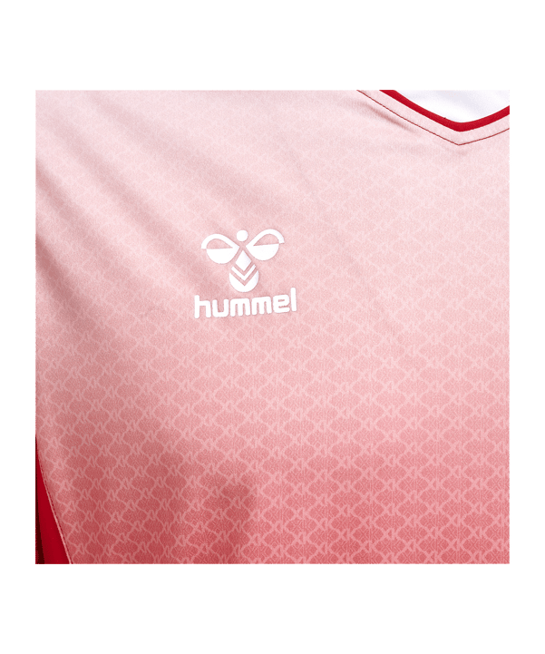 Hummel hmlCORE XK Sublimation Trikot Rot F3062 - rot