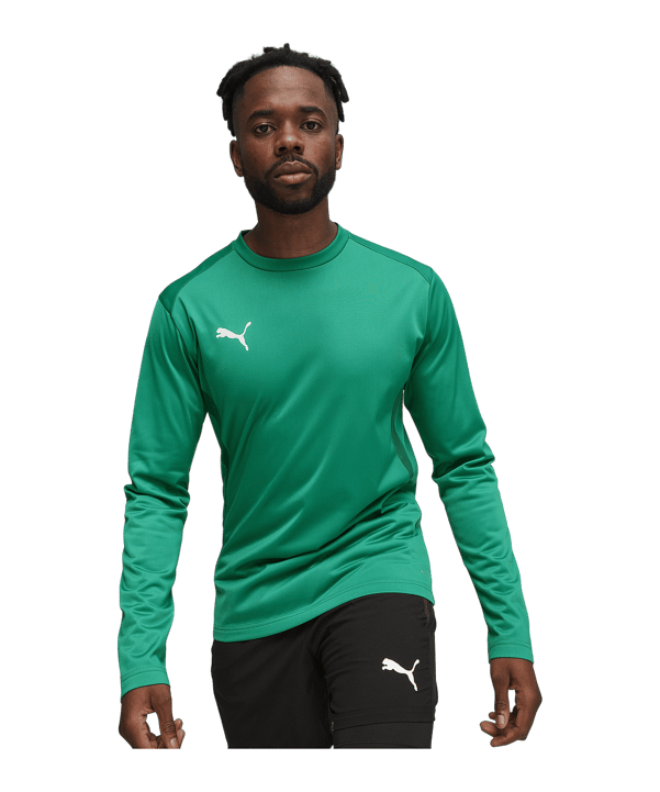PUMA teamGOAL Training Sweatshirt Grün F05 - gruen