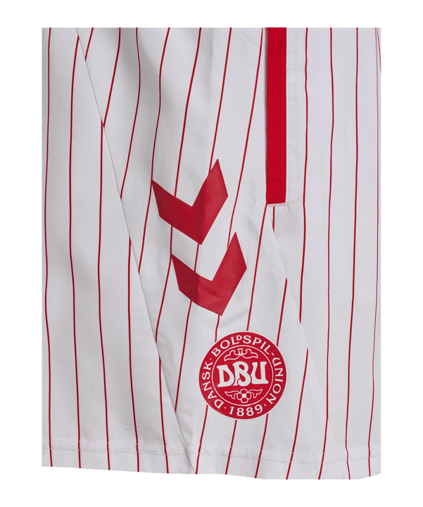 hummel DBU Fan Badehose 2026 Weiß F9001 - weiss