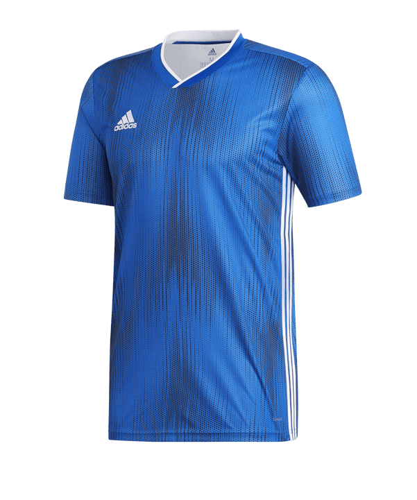 adidas Tiro 19 Trikot kurzarm Blau Weiss - blau