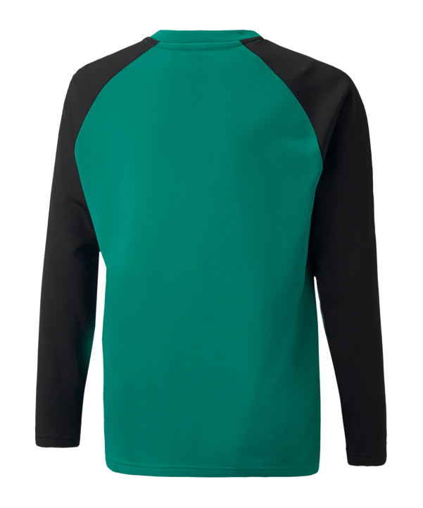 PUMA teamLIGA Sweatshirt Kids Grün F05 - gruen