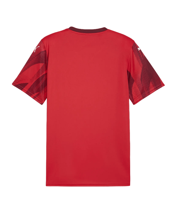 PUMA teamFINAL Graphic Trikot Rot F01 - rot