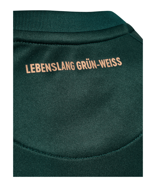 Hummel SV Werder Bremen Trikot 3rd 2025/2026 Kids Grün F6108 - gruen