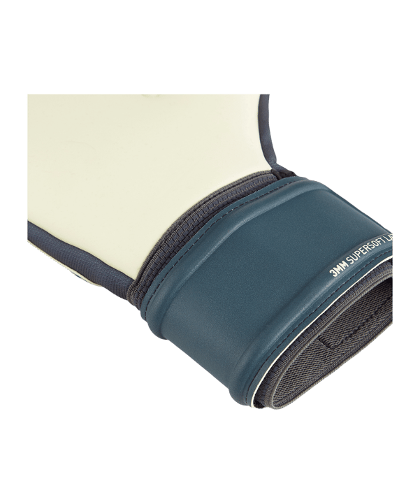 PUMA FUTURE Match NC Torwarthandschuhe Light Out Grau F05 - grau