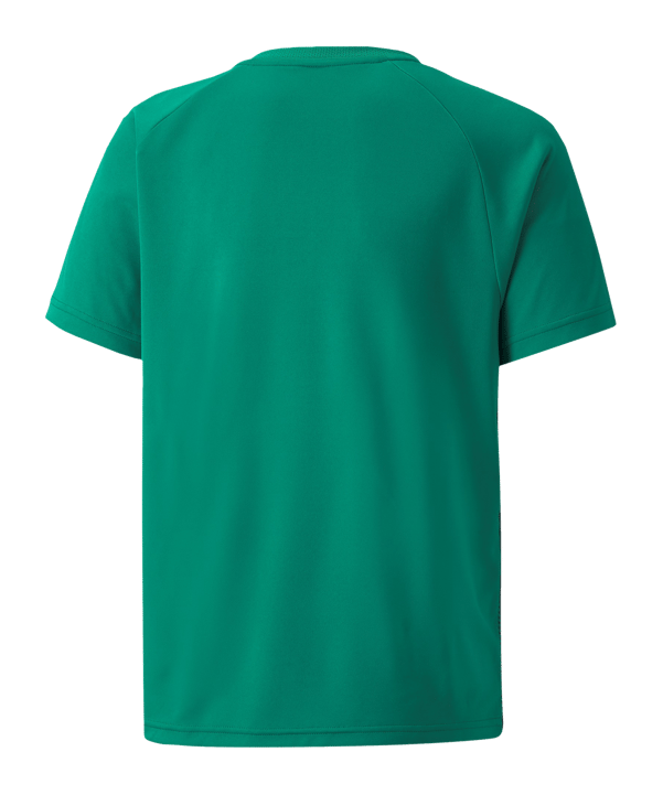 PUMA teamLIGA Striped Trikot Kids Grün Schwarz F05 - gruen