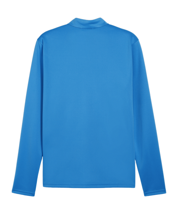 PUMA teamGOAL Training 1/4 Zip Sweatshirt Blau F02 - hellblau