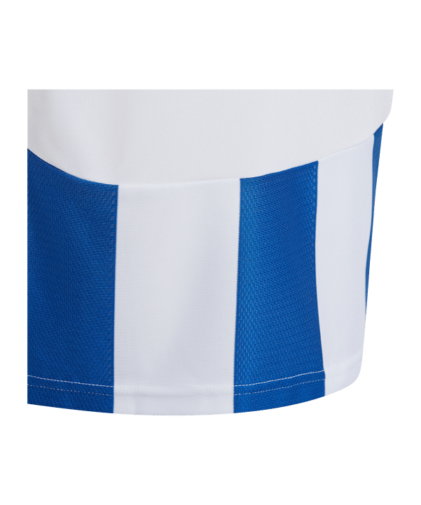 adidas Striped 24 Trikot Kids Weiss Blau - weiss
