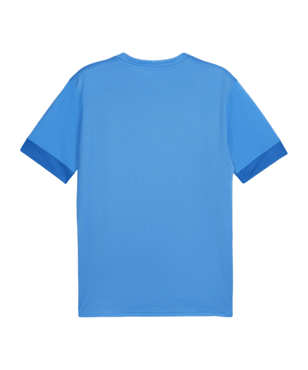 PUMA teamGOAL Matchday Trikot Blau Weiss F02 - blau