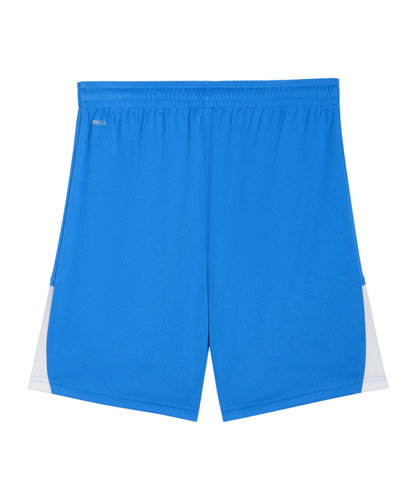 PUMA teamLIGA26 Short Blau F02 - blau