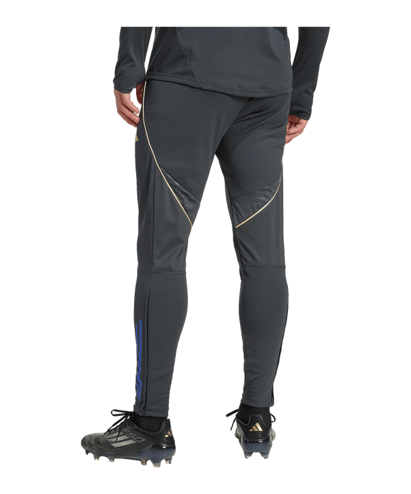 adidas Olympique Lyon Trainingshose Grau - grau