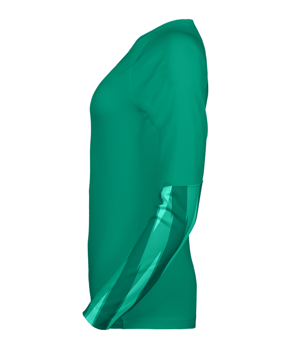 Nike Park V Torwarttrikot Langarm Damen Grün F324 - gruen
