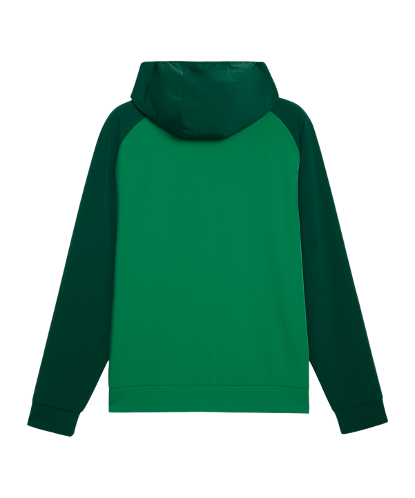 PUMA Portugal PUMATECH Track WV Trainingsjacke Grün F27 - gruen