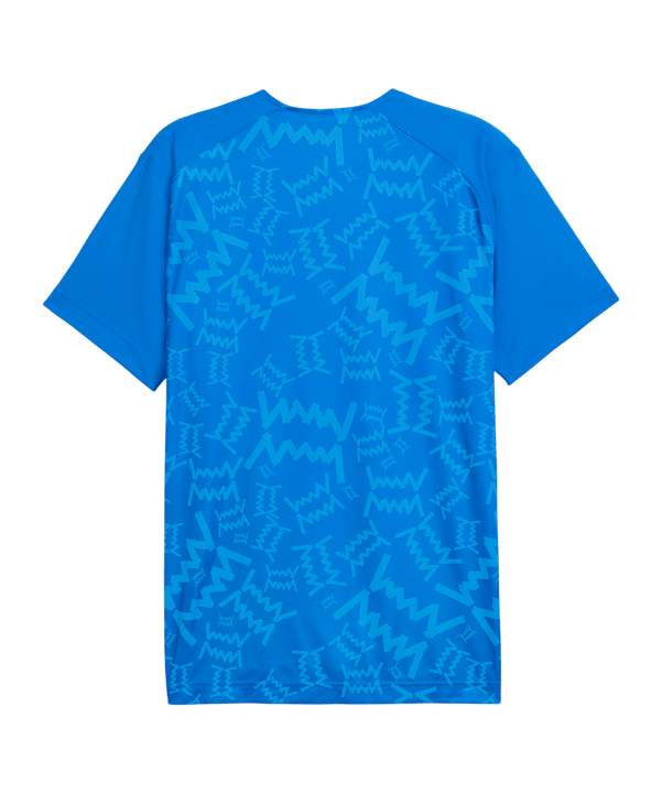 PUMA Teamjaws Graphic Ss Shooting Hemd Blau F07 - blau