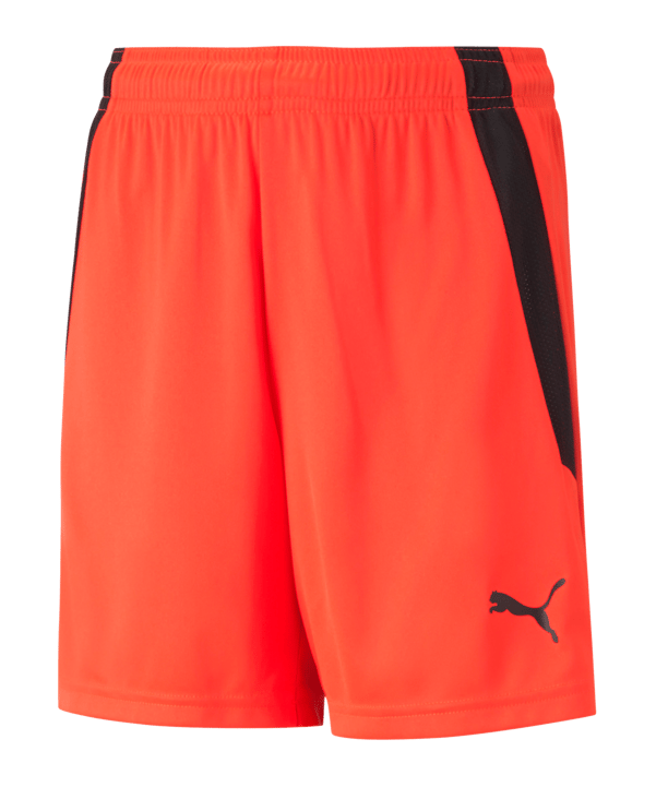 PUMA teamLIGA Short Kids Rot Schwarz F45 - rot