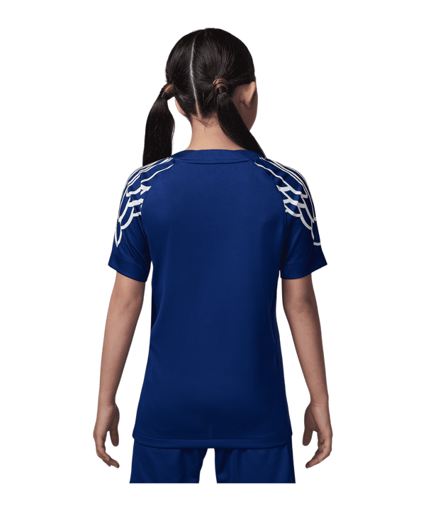 Nike Paris Saint-Germain Trikot Kids Blau F493 - blau
