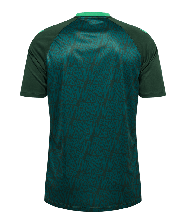 hummel SV Werder Bremen Pre Game Trikot 2026/2027 Grün F6228 - gruen