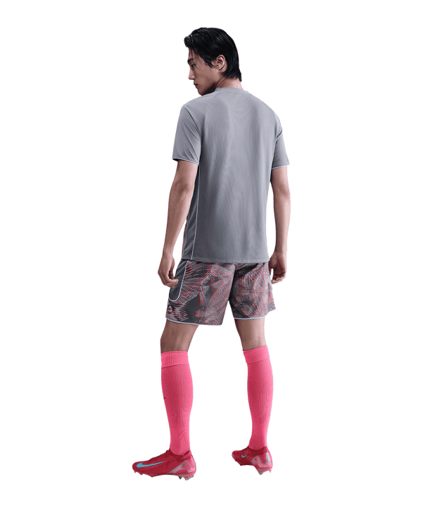 Nike Academy+ Short Rot F635 - rot
