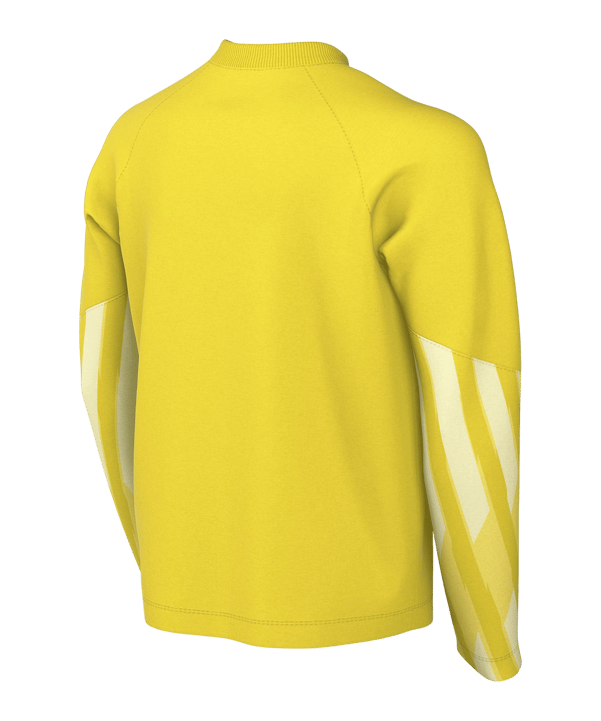 Nike Park V Trikot langarm Kids Gelb F718 - gelb