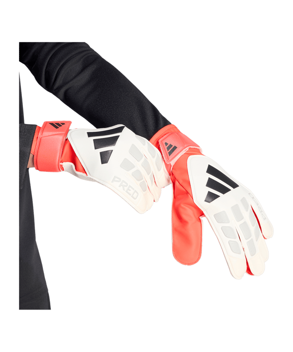 adidas Predator Training Torwarthandschuhe Weiß - weiss