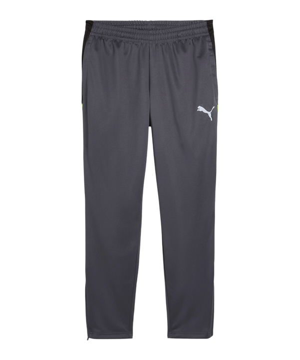 PUMA Trainingshose Grau F08 - grau