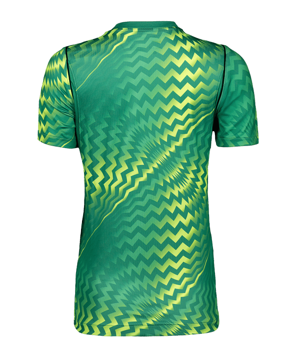 Nike Gardien VI Torwarttrikot Damen Grün F324 - gruen