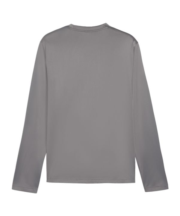 PUMA teamGOAL Training Sweatshirt Grau F13 - grau