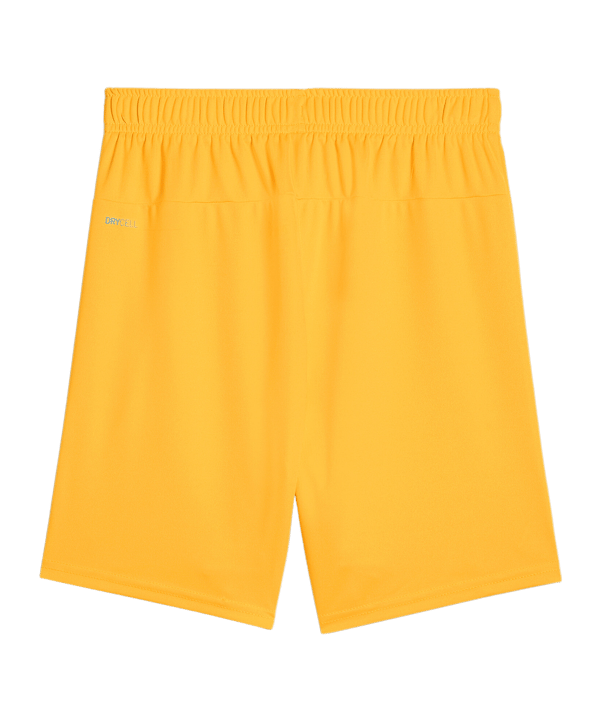 PUMA teamGOAL Short Kids Orange Schwarz F61 - orange