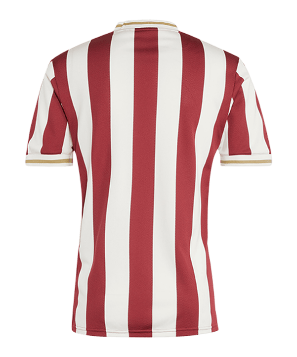 adidas Originals 1. FC Nürnberg 125th Anniversary Special Trikot Rot - rot