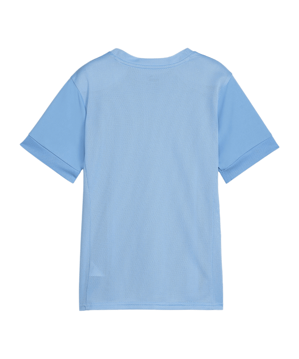PUMA teamGOAL Matchday Trikot Kids Blau Weiss F18 - blau
