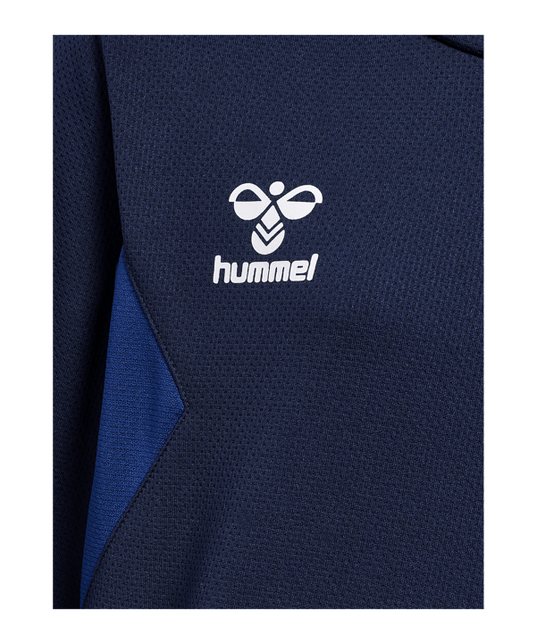 Hummel Authentic Pl Hoody Kids Blau F7026 - blau