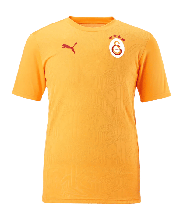 PUMA Galatasaray Istanbul Training T-Shirt Gelb F202 - gelb