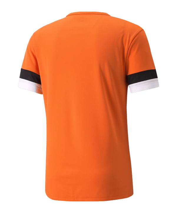 PUMA teamRISE Trikot Orange F08 - orange