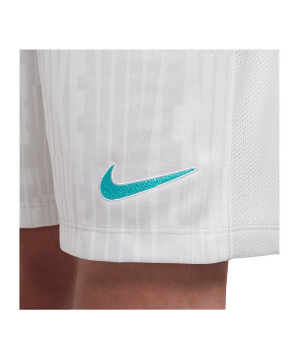 Nike Academy Plus Short Kids Grau F025 - grau