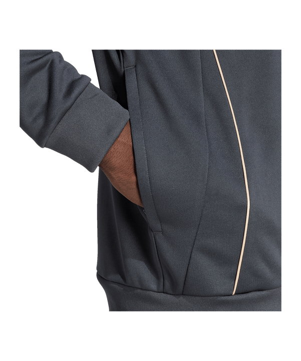 adidas Olympique Lyon Training Hoody Grau - grau