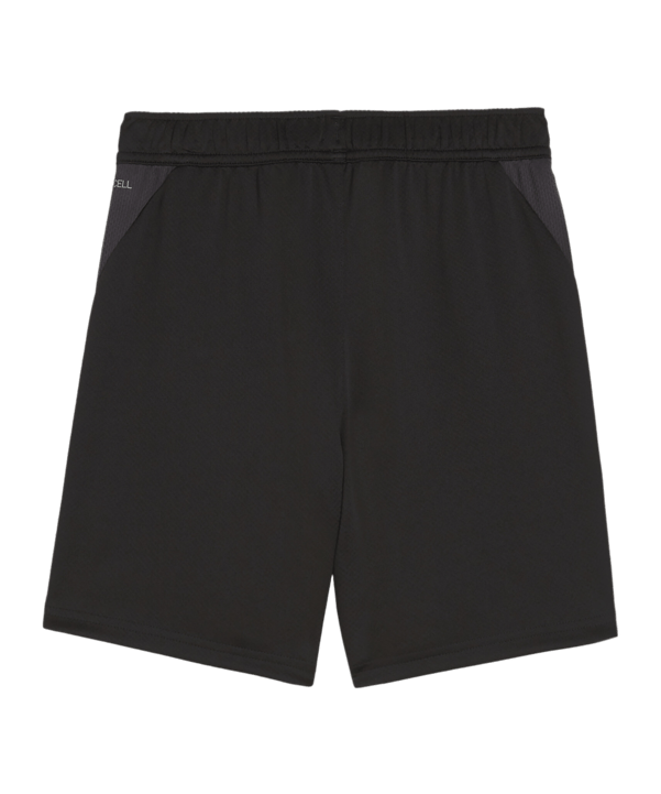 PUMA teamGOAL Training Shorts Kids Schwarz F03 - schwarz