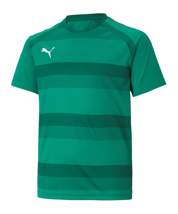 PUMA teamVISION Trikot Kids Grün F05 - gruen