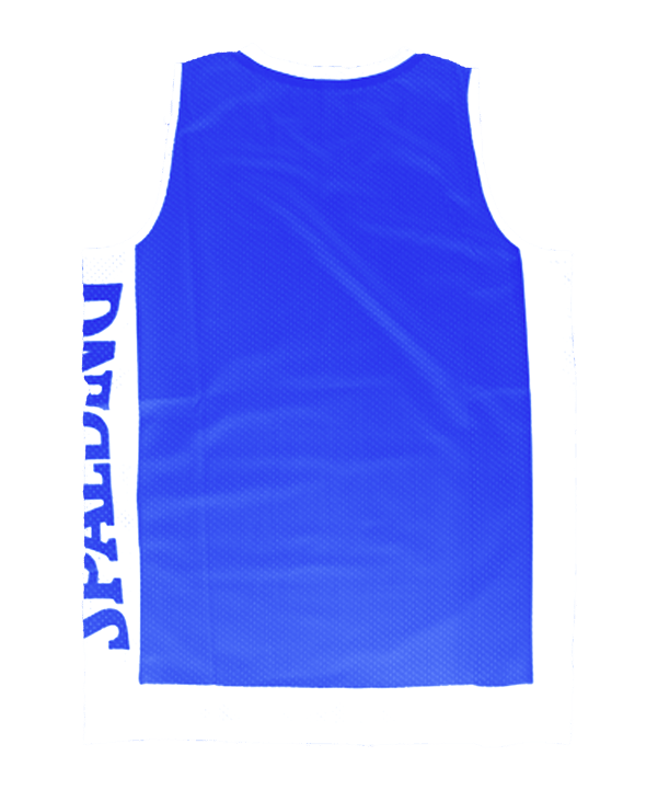 Spalding Reversible Tanktop Kids Blau - blau