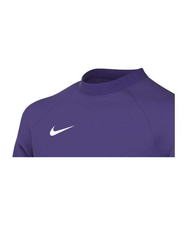 Nike Park V Trikot langarm Kids Lila F507 - lila
