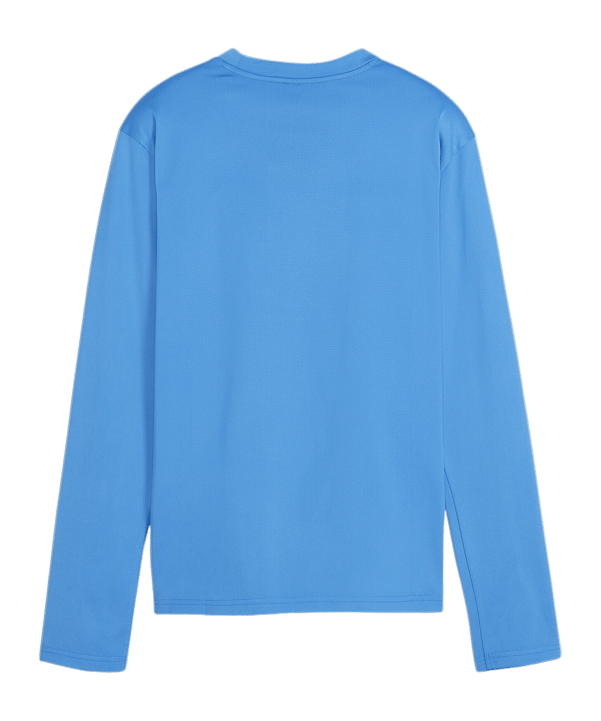 PUMA teamGOAL Training Sweatshirt Damen Blau F01 - hellblau
