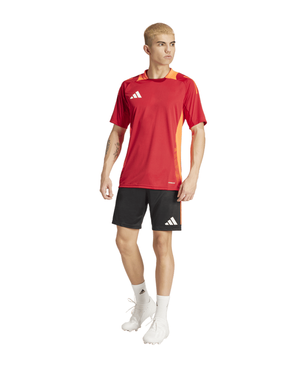 adidas Tiro 24 Competition Training Short Schwarz Rot - schwarz